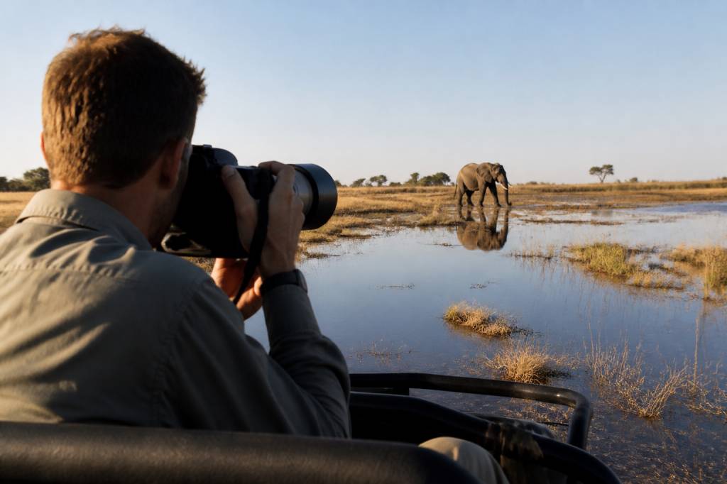 Botswana photo safari : les meilleurs conseils pour réussir vos images